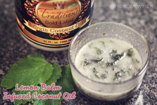 Lemon Balm Infused Coconut Oil